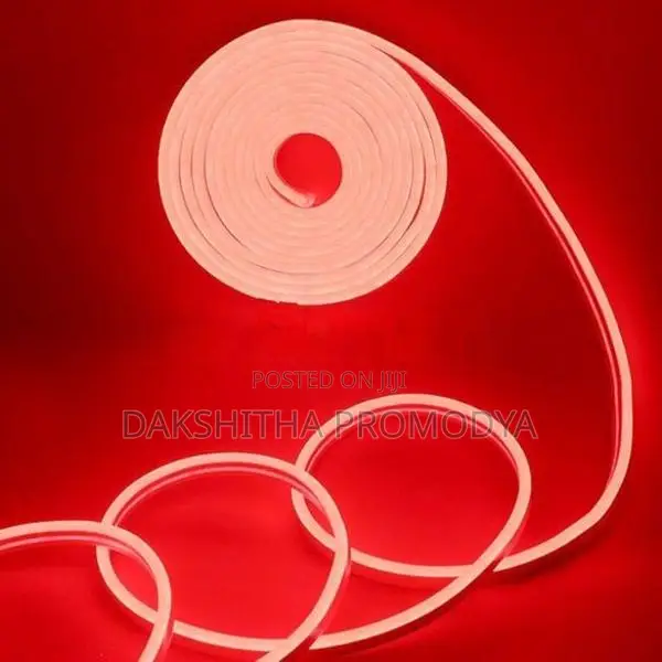 12V DC Neon Strip Light 5M