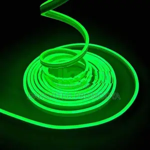 12V DC Neon Strip Light 5M