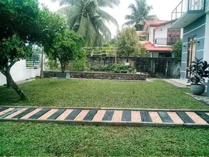 Malaysian Grass