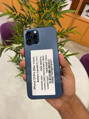 Apple iPhone 12 Pro Max 256GB (Used)