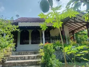 කුරුණෑගල, තිත්තවැල්ල හරහා ගෝනගම බස් පාරට මුහුණලා, මින්හෙට්ටිය
