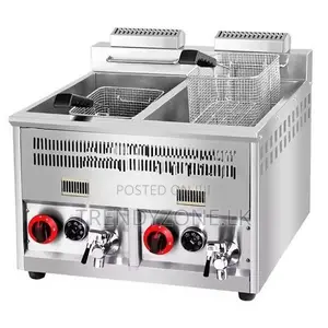 Industrial Large Tank 14L + Gas Deep Fryer