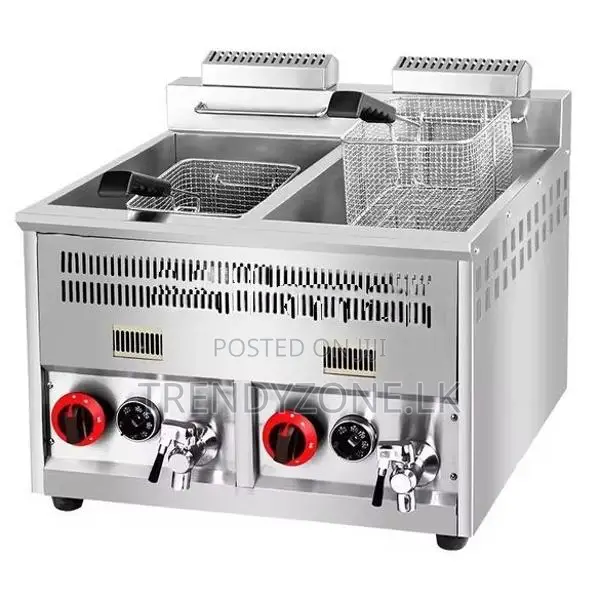 Industrial Large Tank 14L + Gas Deep Fryer
