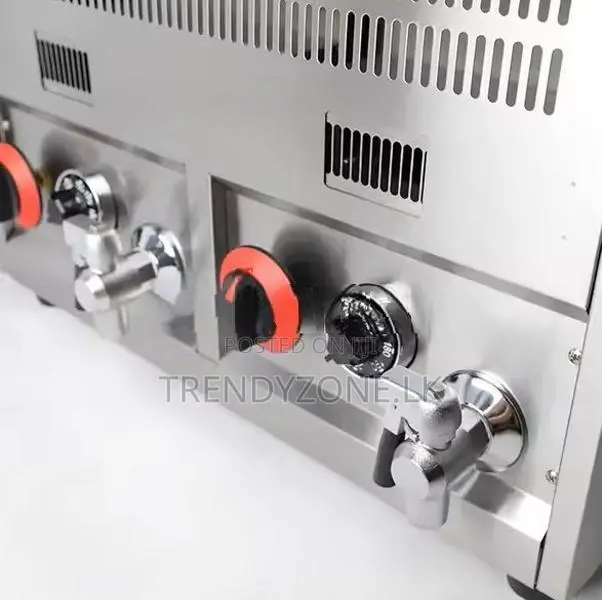 Industrial Large Tank 14L + Gas Deep Fryer