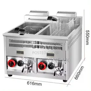 Industrial Large Tank 14L + Gas Deep Fryer