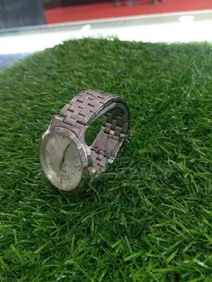 Timex Silver Hand Watch
