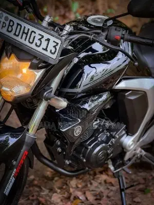 Yamaha FZs V2 2015