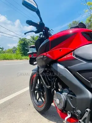 Bajaj Pulsar NS160 2019