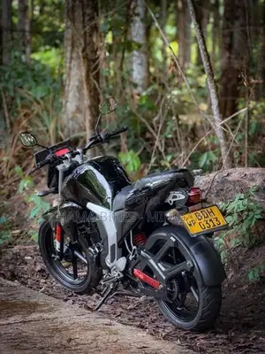 Yamaha FZs V2 2015