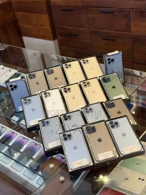 Apple iPhone 13 Pro Max 256GB (Used)
