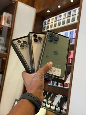 Apple iPhone 13 Pro 256GB (Used)