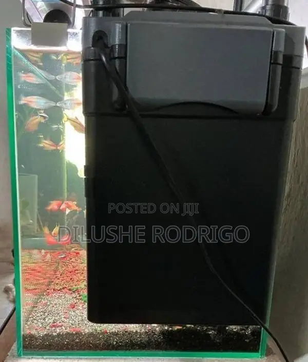 Fish Tank