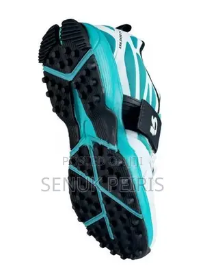 CA Big Bang Max Cricket Shoes