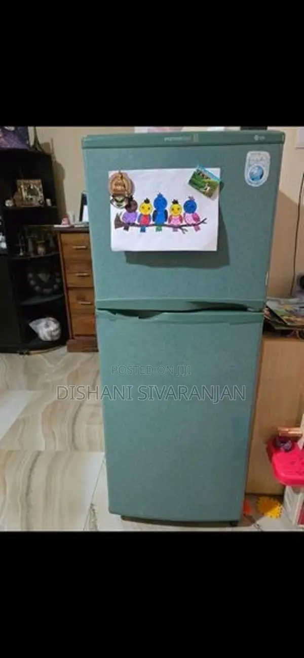 Fridge