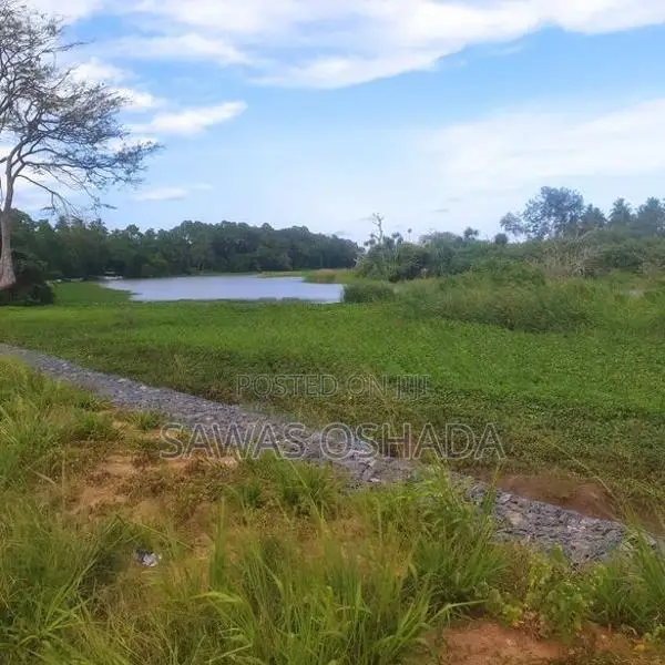 Land For Sale Ambalantota