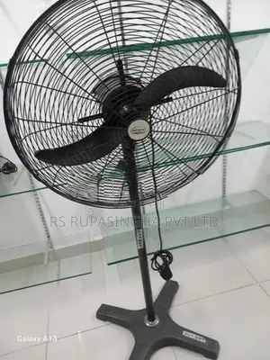 Pacific Stand Fan