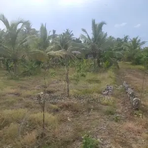 Land For Sale Ambalantota