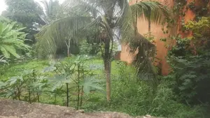 Kotte Madiwela Land For Sale ( RLS - 699)
