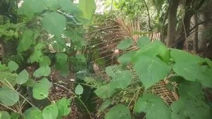 Kotte Madiwela Land for Sale ( RLS - 700 )