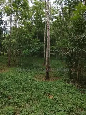 Rubber Land Sale in Hanwella
