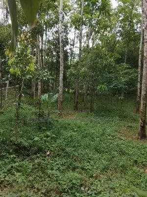 Rubber Land Sale in Hanwella