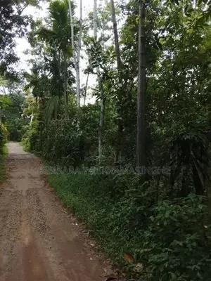 Rubber Land Sale in Hanwella