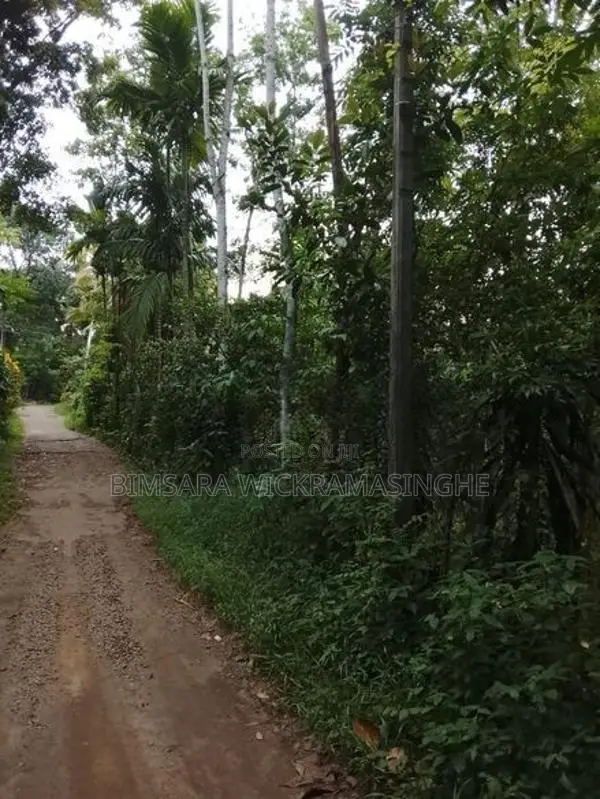 Rubber Land Sale in Hanwella