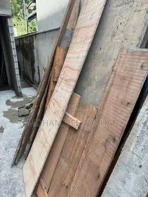 Wood Lot