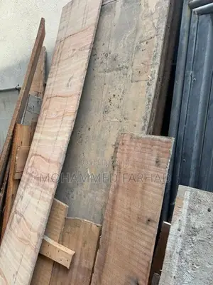 Wood Lot