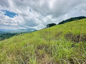 Lands for sale in Nillamba