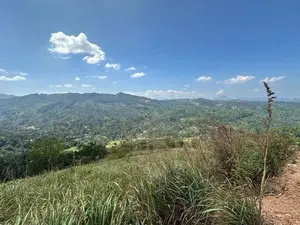 Lands for sale in Nillamba