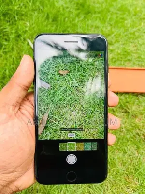 Apple iPhone 7 Plus (Used)