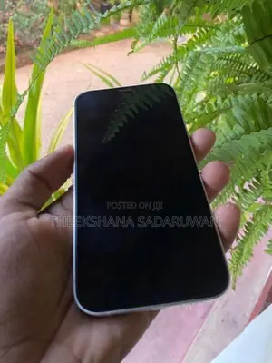 Apple iPhone 12 (Used)