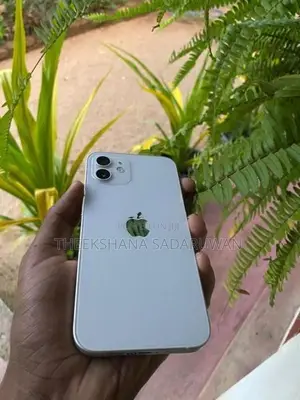Apple iPhone 12 (Used)
