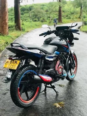 Bajaj Pulsar 150 2013