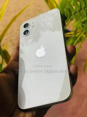 Apple iPhone 12 (Used)