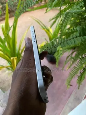 Apple iPhone 12 (Used)