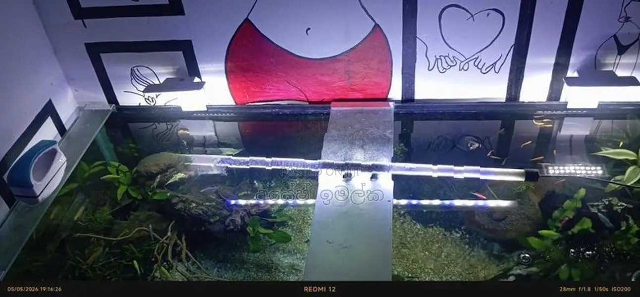 Complete Aquarium Setup