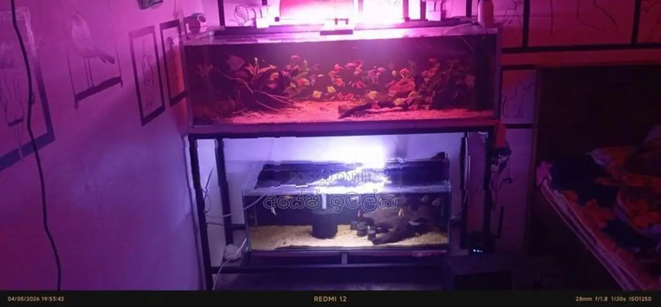 Complete Aquarium Setup