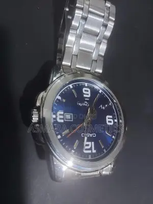 Casio Watch