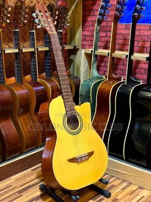 Cutaway Guitar