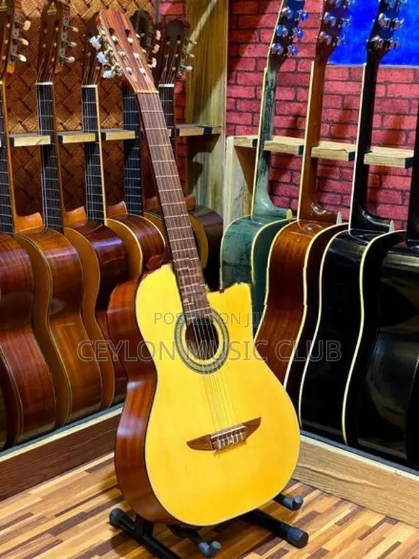 Cutaway Guitar