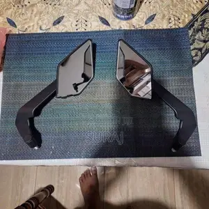 TVS Side Mirror