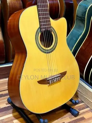 Cutaway Guitar