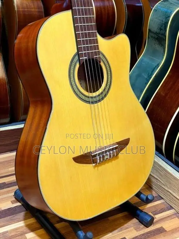 Cutaway Guitar