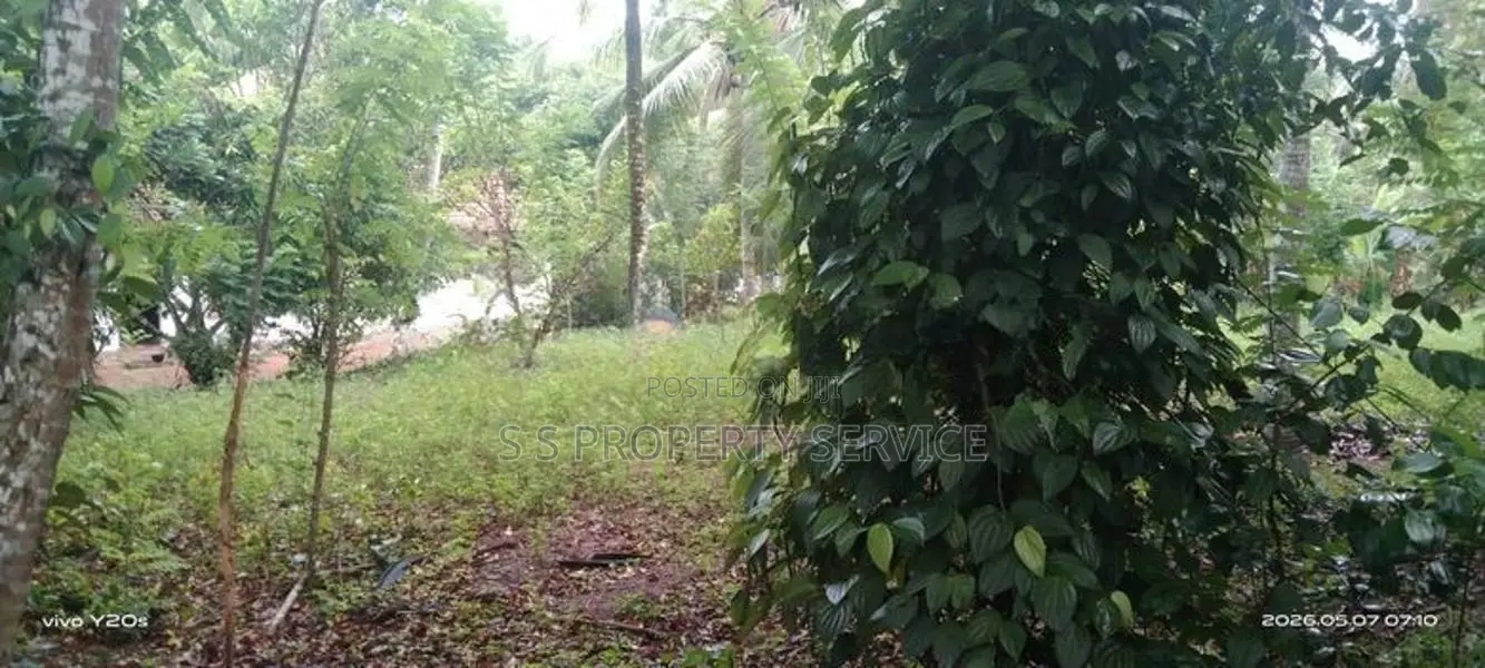 Land For Sale in Dewalapola - Minuvangoda (SSPL-396)
