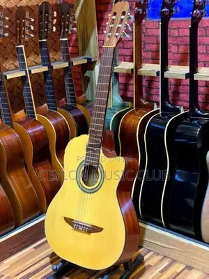 Cutaway Guitar