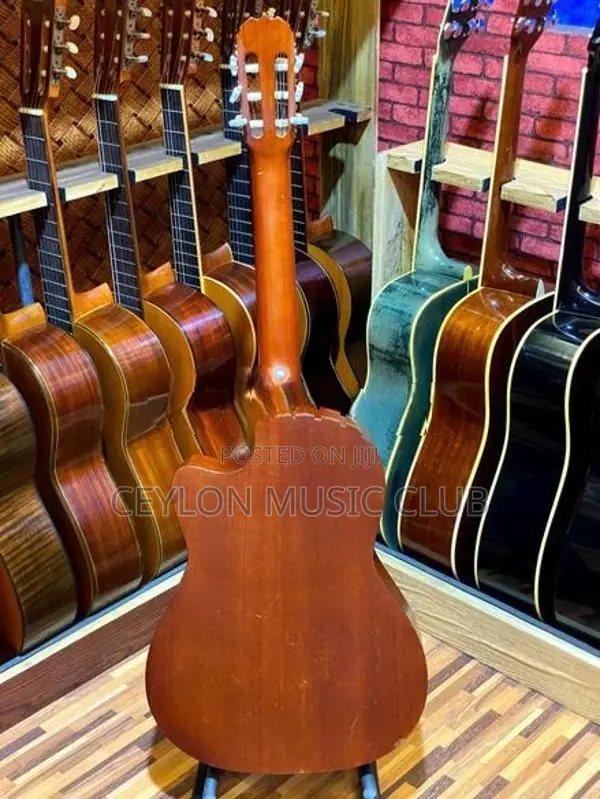 Cutaway Guitar