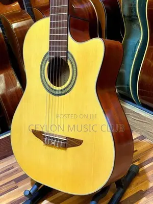 Cutaway Guitar