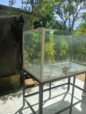 Fish Tank